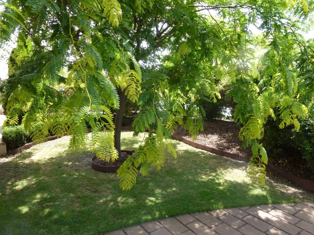 Colonial Motor Inn Bairnsdale Golden Chain Property المظهر الخارجي الصورة